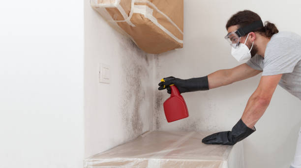 Professional Attic Mold Removal technician working in Roosevelt, NJ